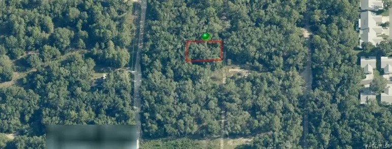 703 Dalwood Avenue, Inverness, FL 34453 - #2