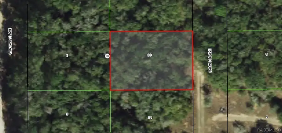 703 Dalwood Avenue, Inverness, FL 34453 - #3