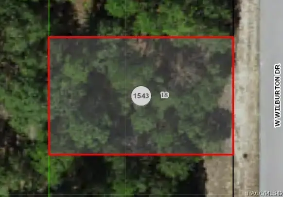 3957 Wilburton Drive, Dunnellon, FL 34433 - #3