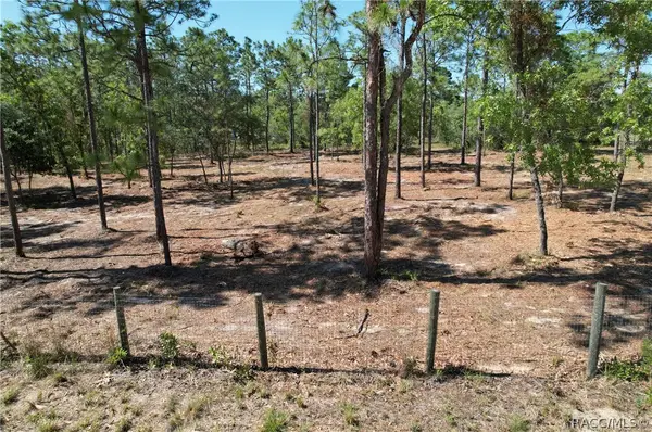 5563 W Osmond Lane, Dunnellon, FL 34433