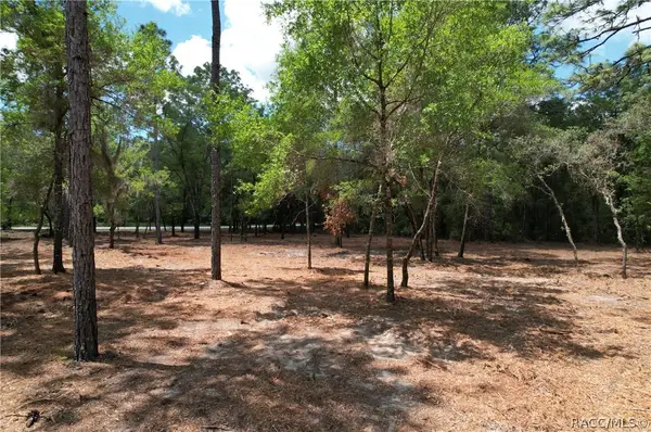 6925 W Copenhagen Street, Dunnellon, FL 34433