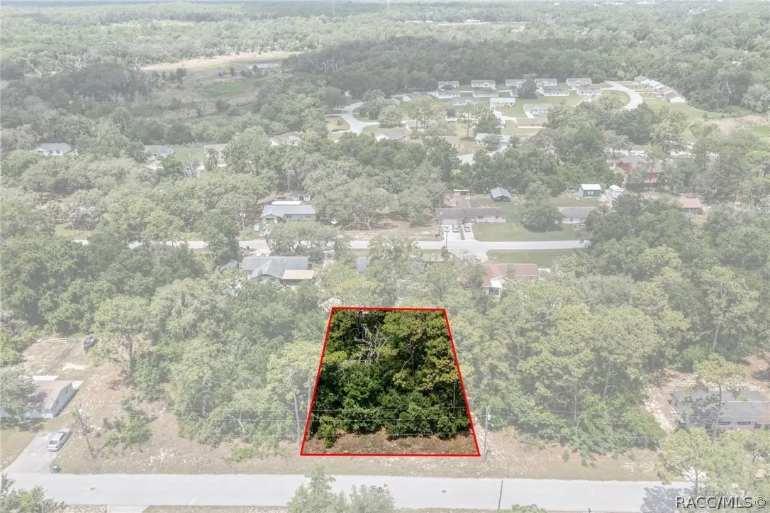 1119 Jones Avenue, Inverness, FL 34453 - #1