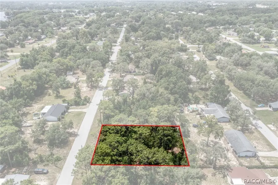 1119 Jones Avenue, Inverness, FL 34453 - #3