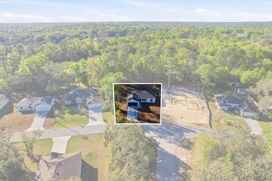 2992 W Camilo Drive, Citrus Springs, FL 34434 - #2