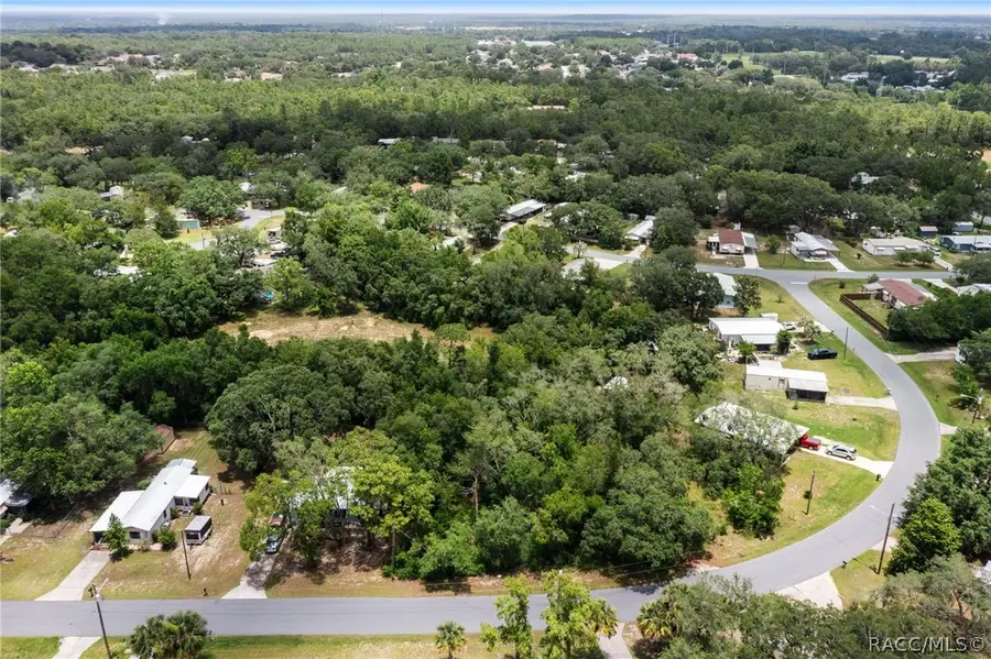 5239 W Shaker Place, Lecanto, FL 34461 - #3