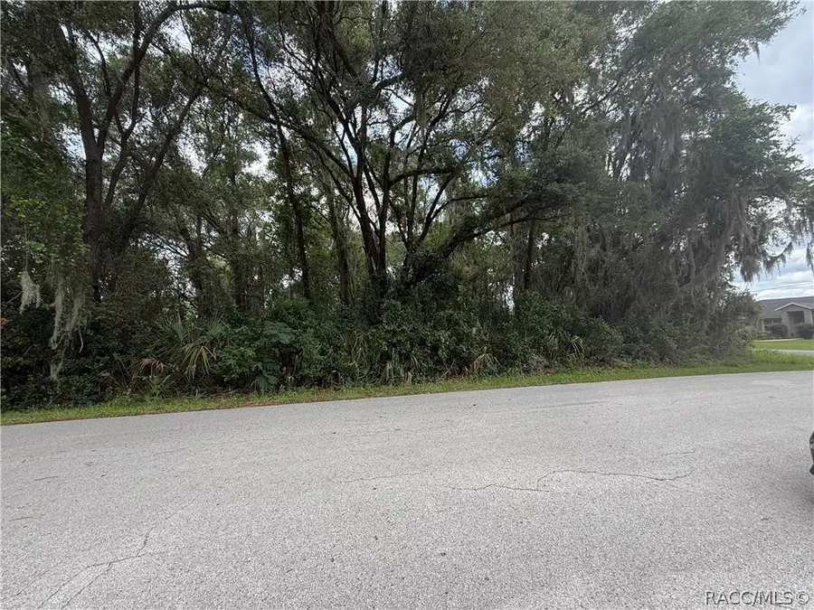 4133 E Wilma Street, Inverness, FL 34453 - #2