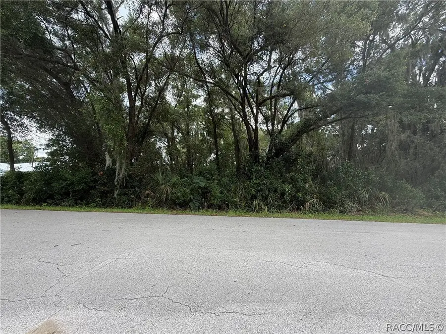 4133 E Wilma Street, Inverness, FL 34453 - #3