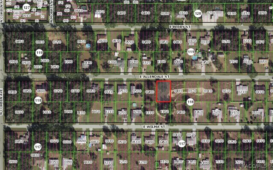 0 E Allendale Street, Inverness, FL 34453 - #3
