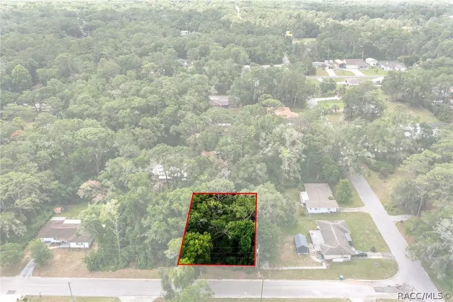 5942 E Banner Lane, Inverness, FL 34452 - #3