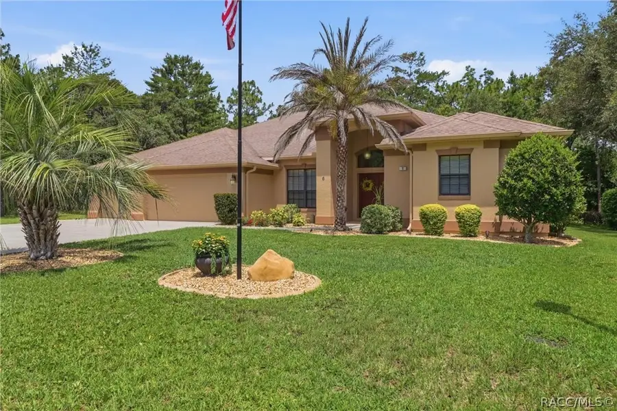 6 Heuchera Court W, Homosassa, FL 34446 - #3