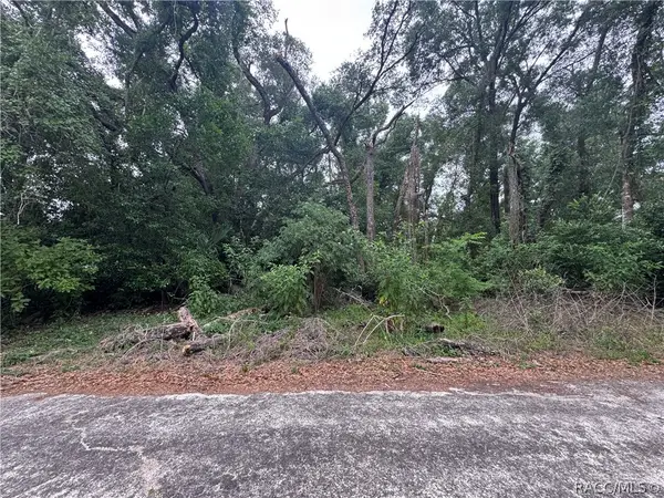 3638 E Lee Drive, Inverness, FL 34453
