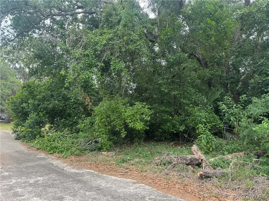 3638 E Lee Drive, Inverness, FL 34453 - #2