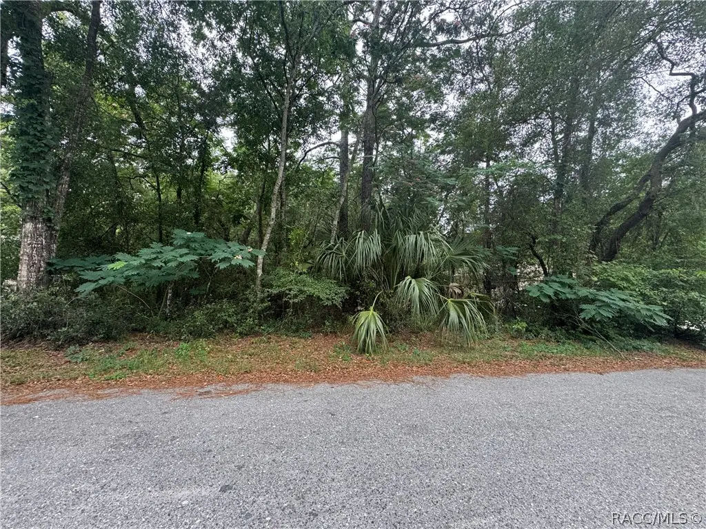 3462 E Michael Street, Inverness, FL 34453 - #1