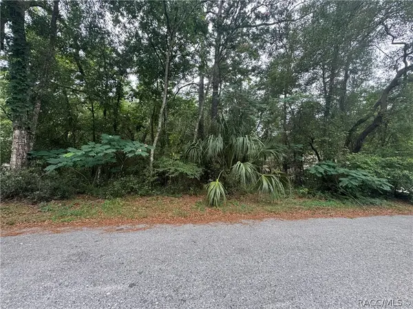3462 E Michael Street, Inverness, FL 34453