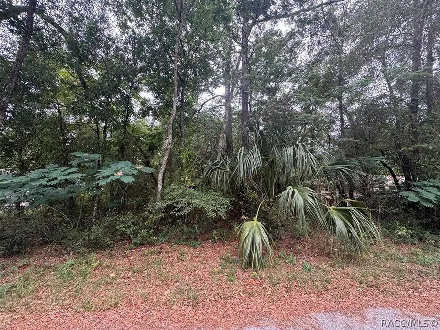 3462 E Michael Street, Inverness, FL 34453 - #2