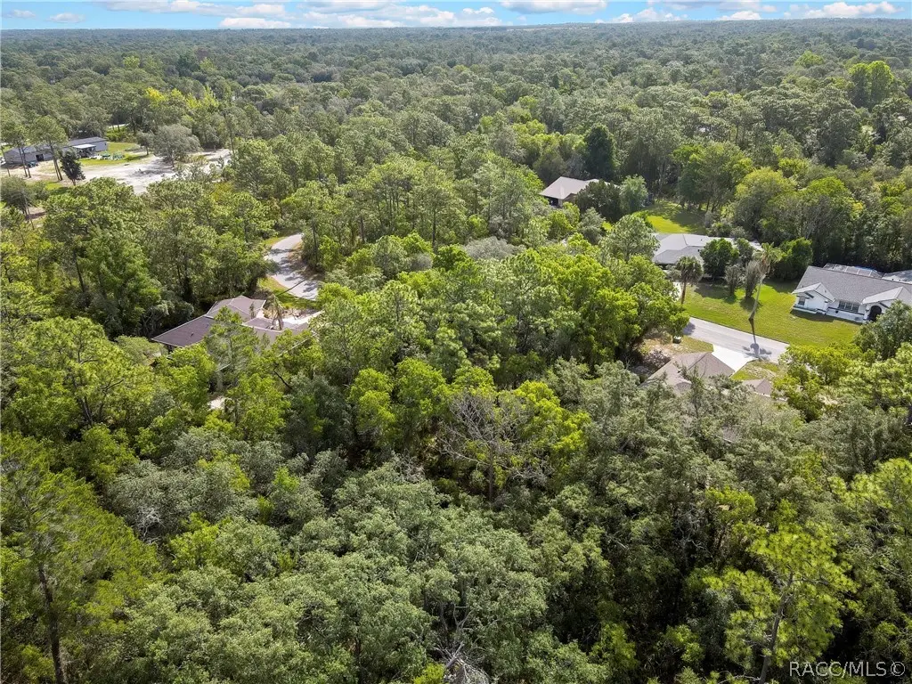 24 Rebecca Court, Homosassa, FL 34446 - #1