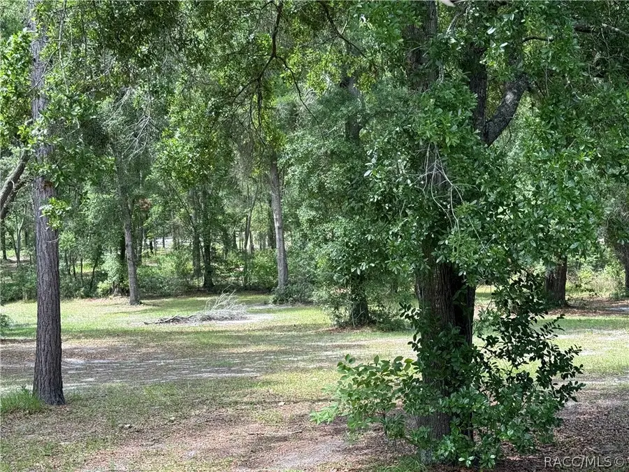 20275 33 Road, Wellborn, FL 32094 - #2