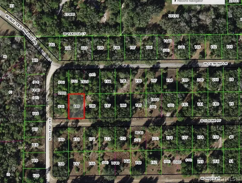 8455 W Elaine Street, Crystal River, FL 34428 - #1