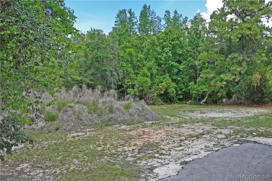1020 N Mcgowan Avenue, Crystal River, FL 34429 - #2