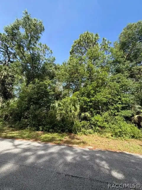 444 N Hourglass Terrace, Crystal River, FL 34429 - #1