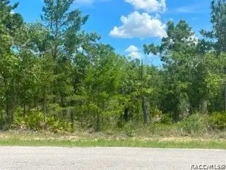 20 Smilax Court, Homosassa, FL 34446