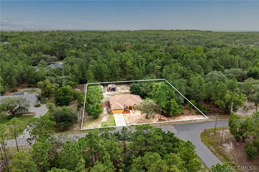4350 W Horseshoe Drive, Beverly Hills, FL 34465 - #2