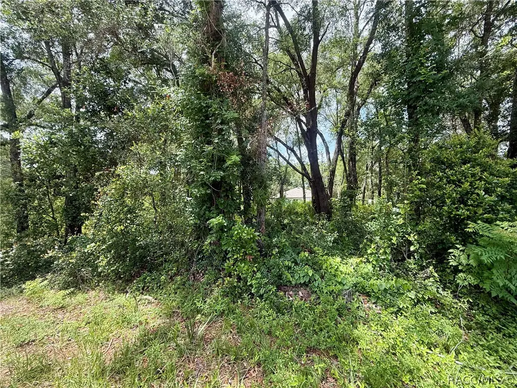 3965 E Walker Street, Inverness, FL 34453 - #1