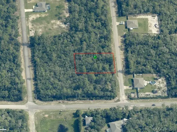 8332 N Farrington Drive, Citrus Springs, FL 34433
