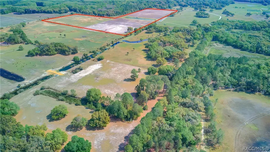 10774 E Lucas Trail, Inverness, FL 34450 - #2