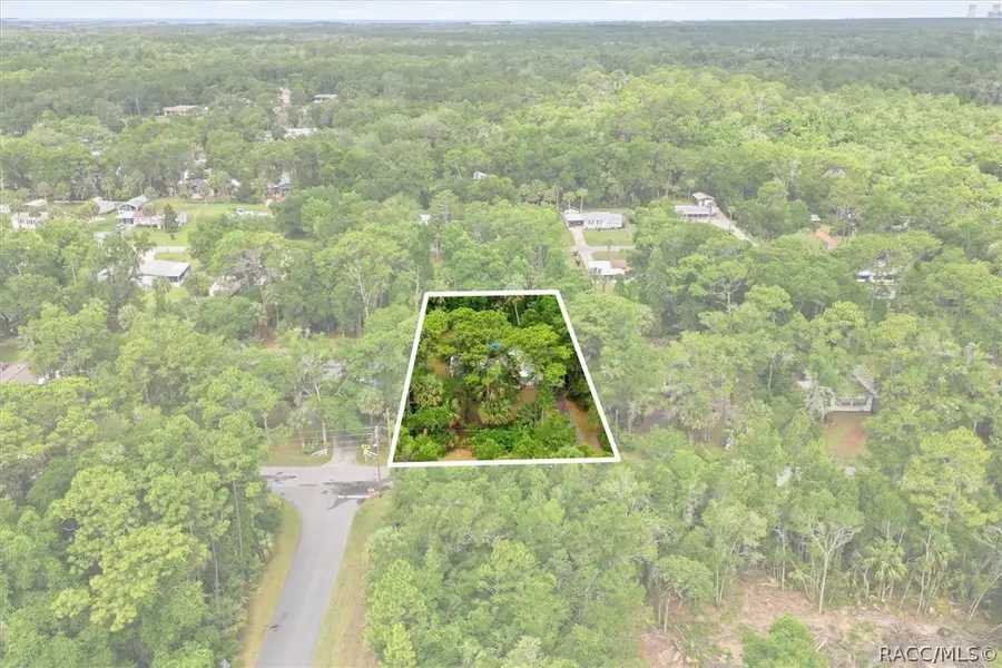4390 N Williams Avenue, Crystal River, FL 34428 - #3