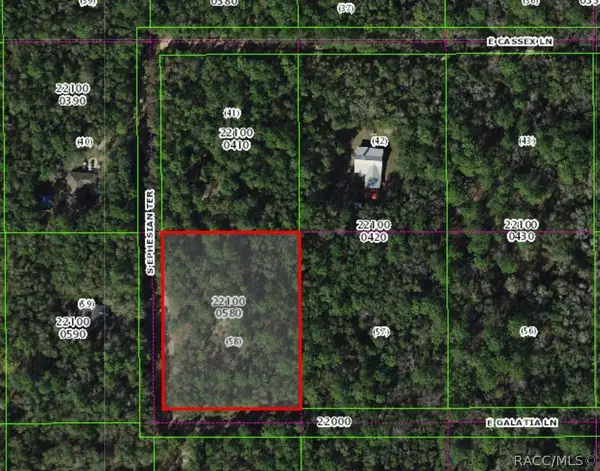 13407 S Ephesian Terrace, Floral City, FL 34436