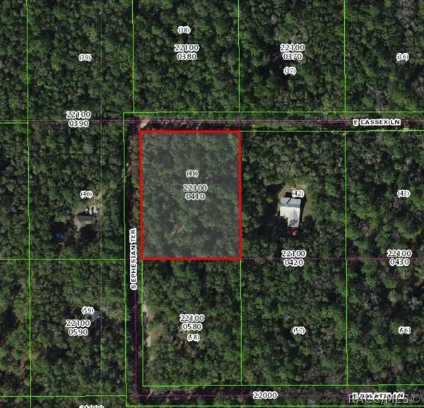 8708 E Cassex Lane, Floral City, FL 34436