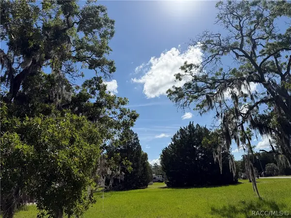 3352 S Junket Drive, Homosassa, FL 34448