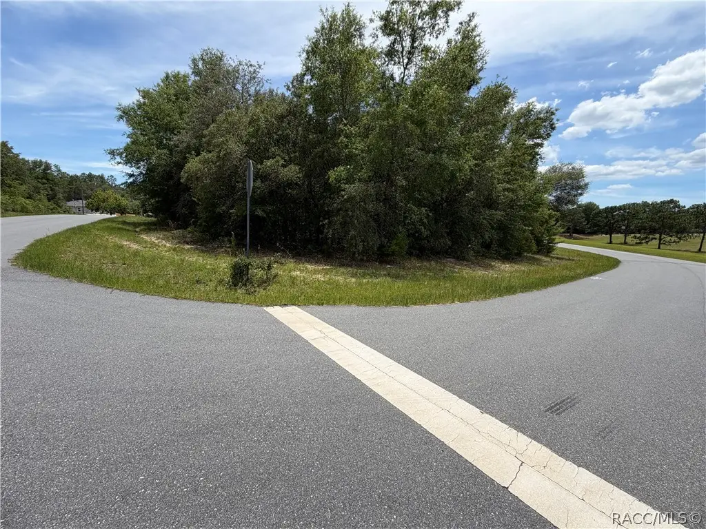 2812 W Yorkshire Place, Citrus Springs, FL 34433 - #1