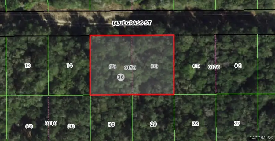 2305 Bluegrass Street, Inverness, FL 34453 - #2