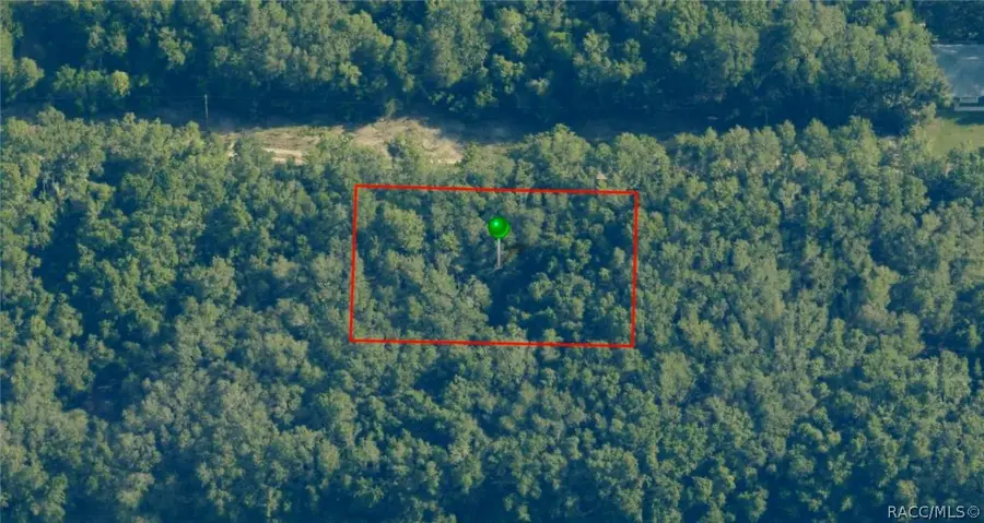 2305 Bluegrass Street, Inverness, FL 34453 - #3
