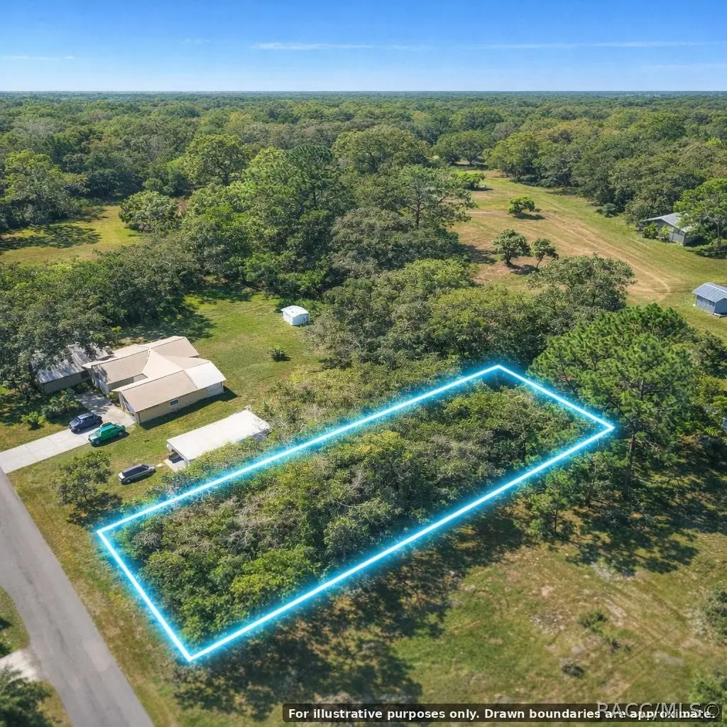 TBD Flamingo Road, Oak Hill, FL 32759 - #1