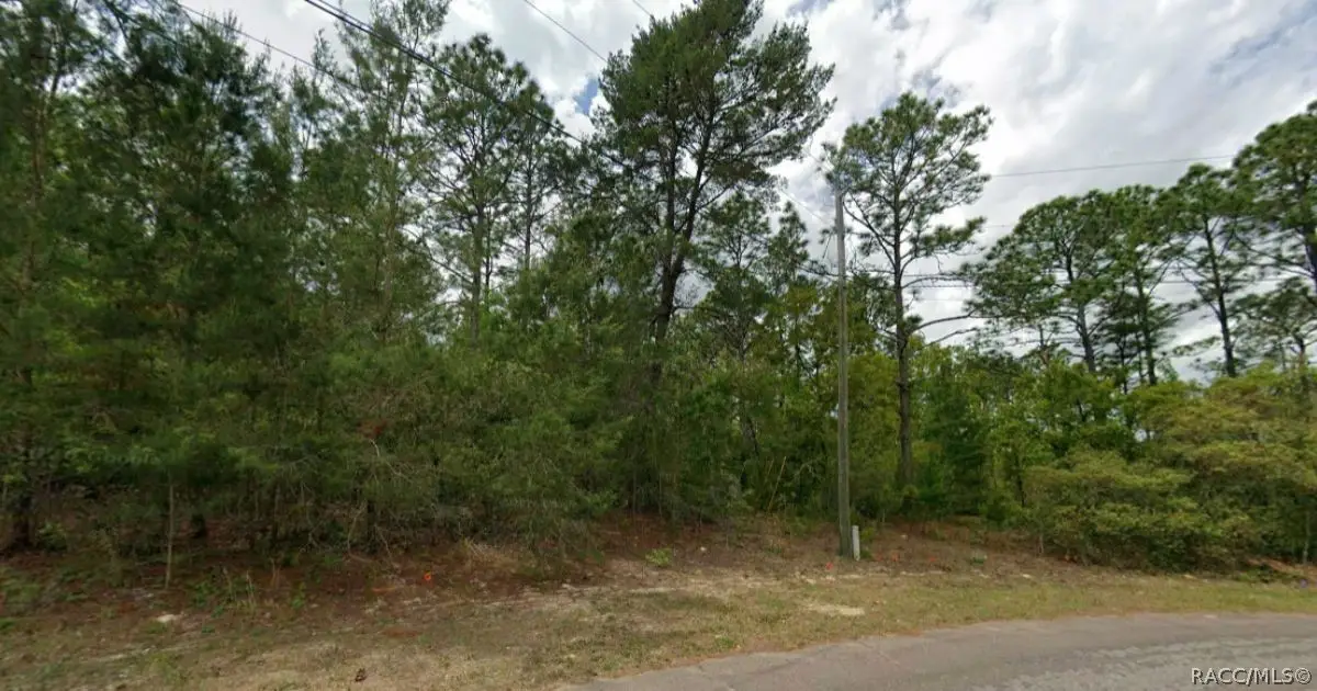 7792 N Ibsen Drive, Citrus Springs, FL 34433 - #1