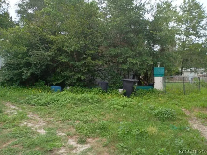 5323 E South Crossing Court, Inverness, FL 34452 - #3