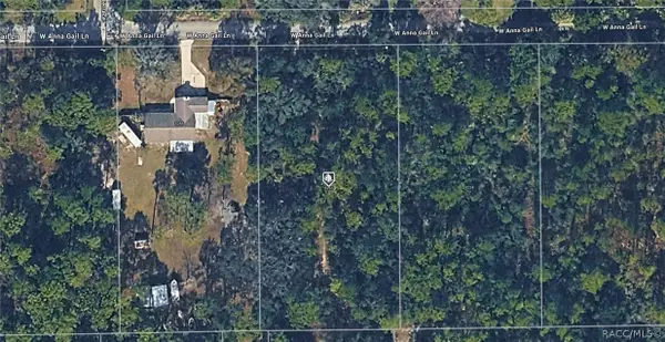 8266 W Anna Gail Lane, Crystal River, FL 34429