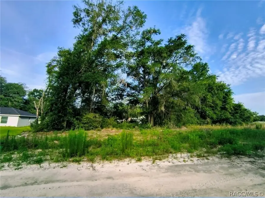 48 N Buchannon Terrace, Inverness, FL 34453 - #2
