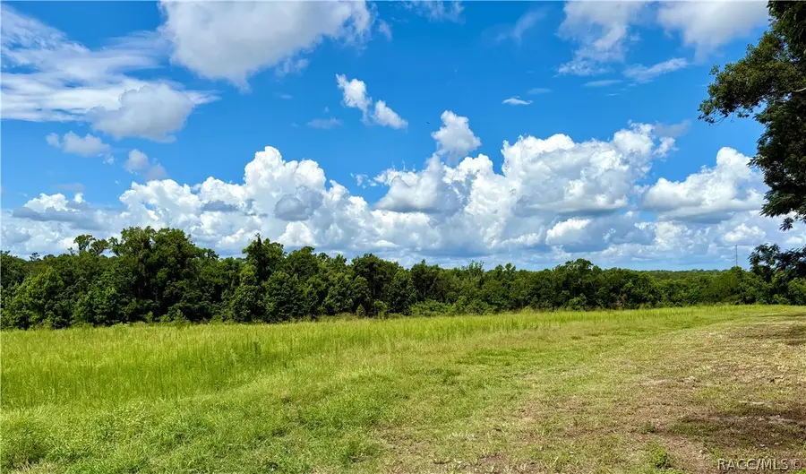 TBD Spring Lake Highway, Brooksville, FL 34601 - #2