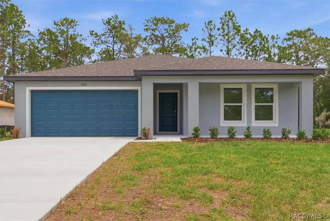 593 W Heronsbill Lane, Dunnellon, FL 34434 - #1