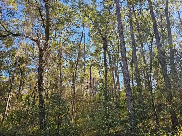 6342 E Glover Street, Inverness, FL 34452