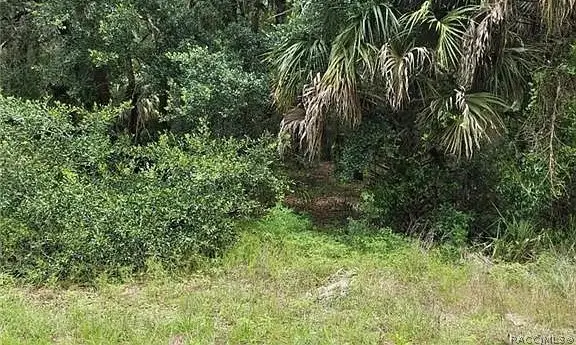 60 S Camellia Avenue, Crystal River, FL 34429