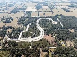 1459 Oxford Preserve Trail, Oxford, FL 34484 - #3