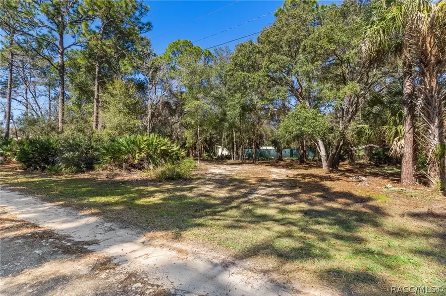 8181 W Tracy Court, Homosassa, FL 34448 - #2