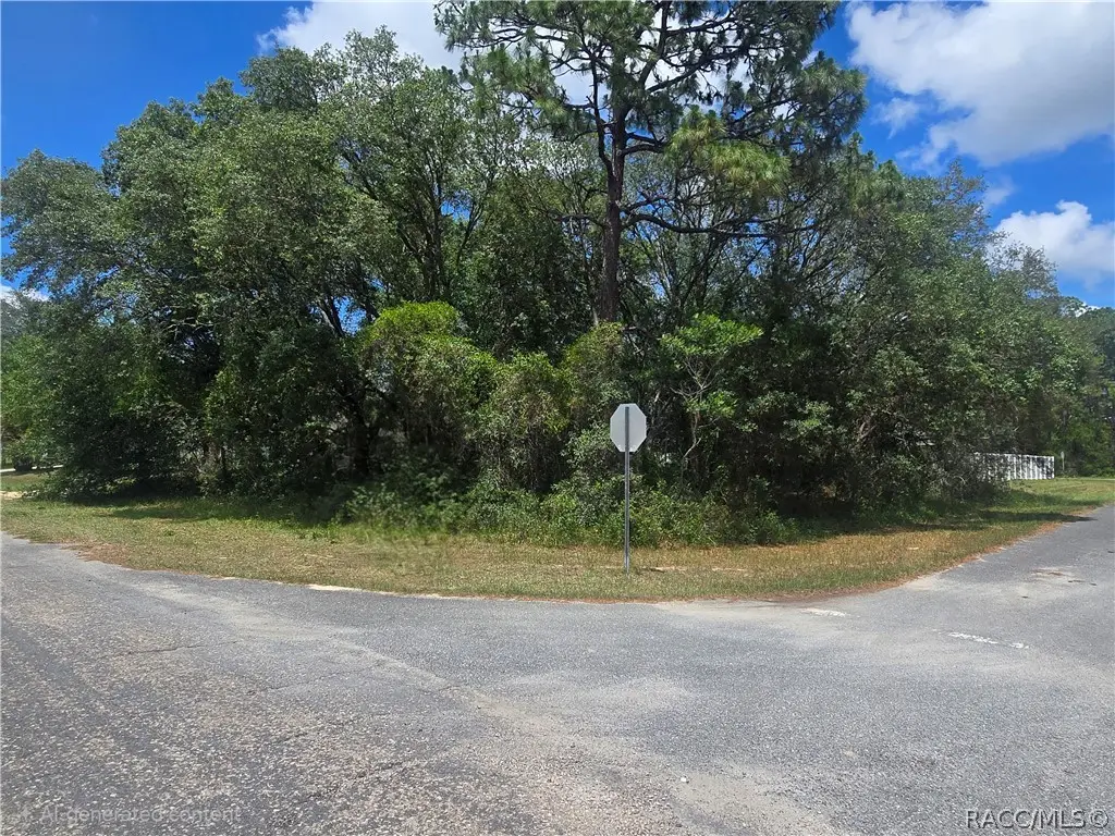8467 N Empire Avenue, Citrus Springs, FL 34433 - #1