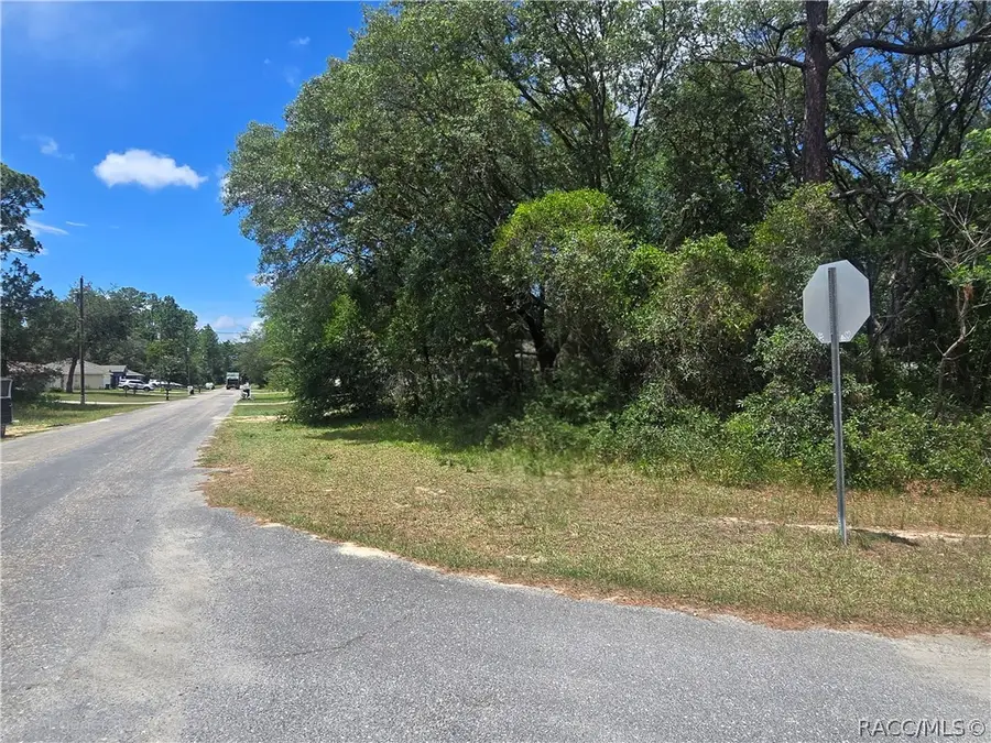 8467 N Empire Avenue, Citrus Springs, FL 34433 - #3