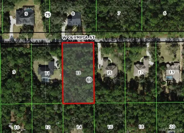 1304 W Olympia Street, Hernando, FL 34442